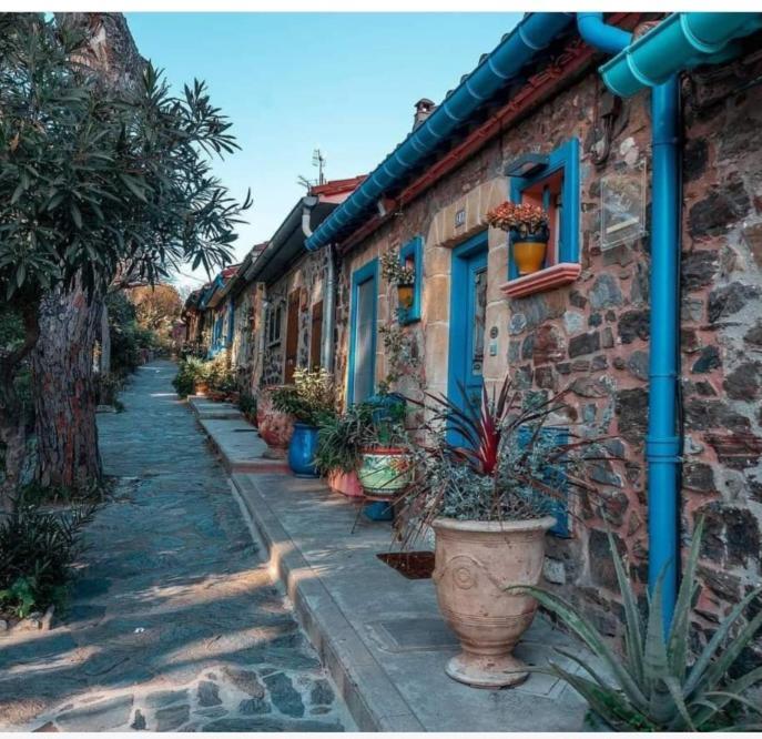 Apartmán Las Tortoras Amélie-les-Bains-Palalda Exteriér fotografie